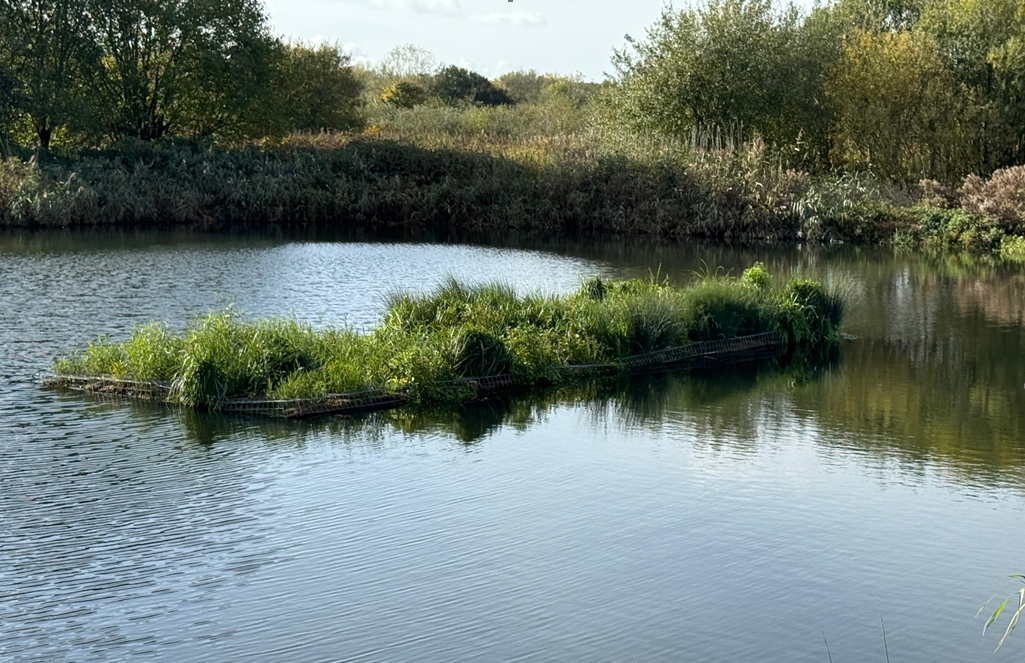 Brand image Brand image