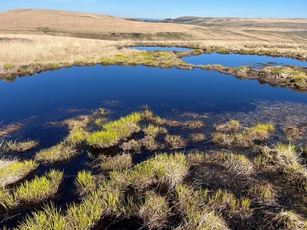 Brand image Peatland